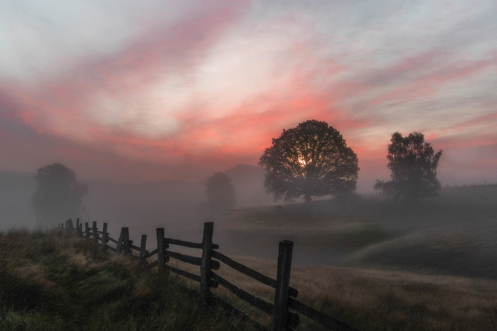 Photograph by Eliška Dobnerová