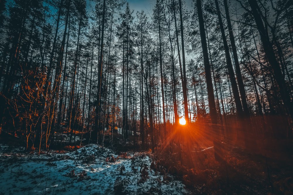 Ленинградская область