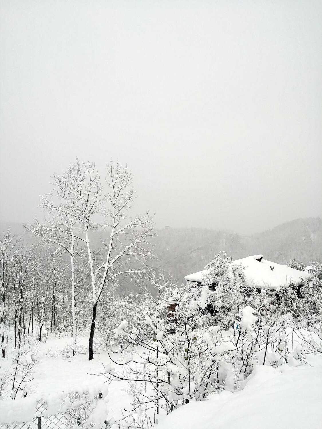 Photo #4361801