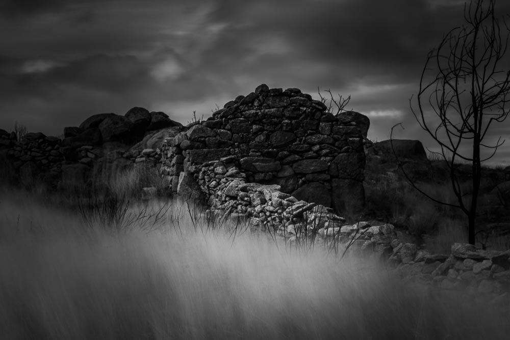 Photograph by António Vieira