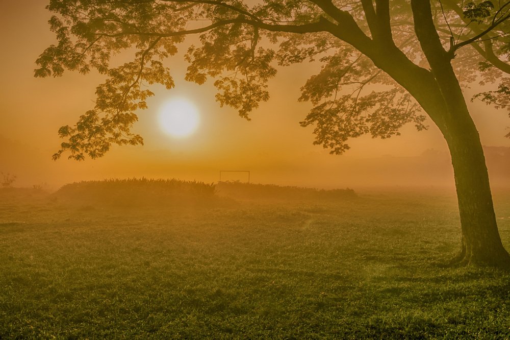 Фотография автора Tanay sarker