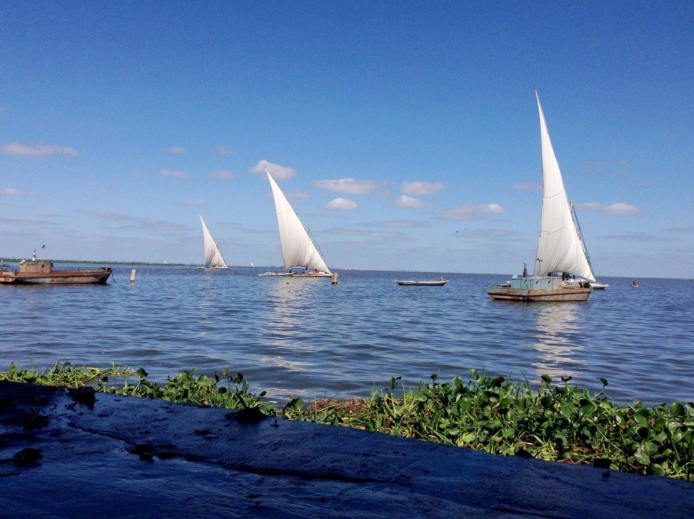 Фотография автора Hashem Mohamed