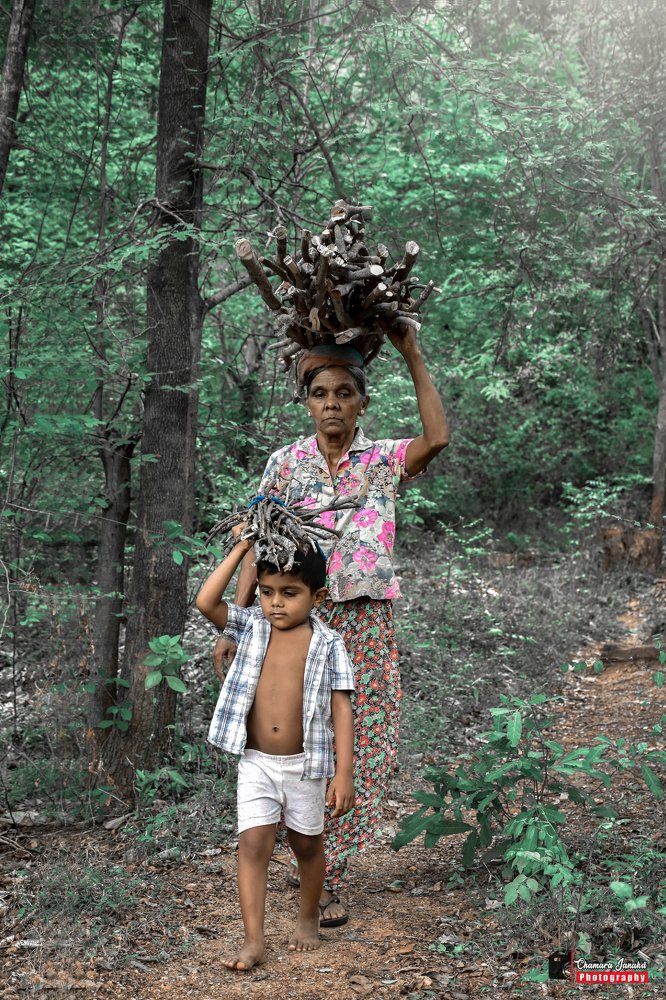 Folk life in sri lanka