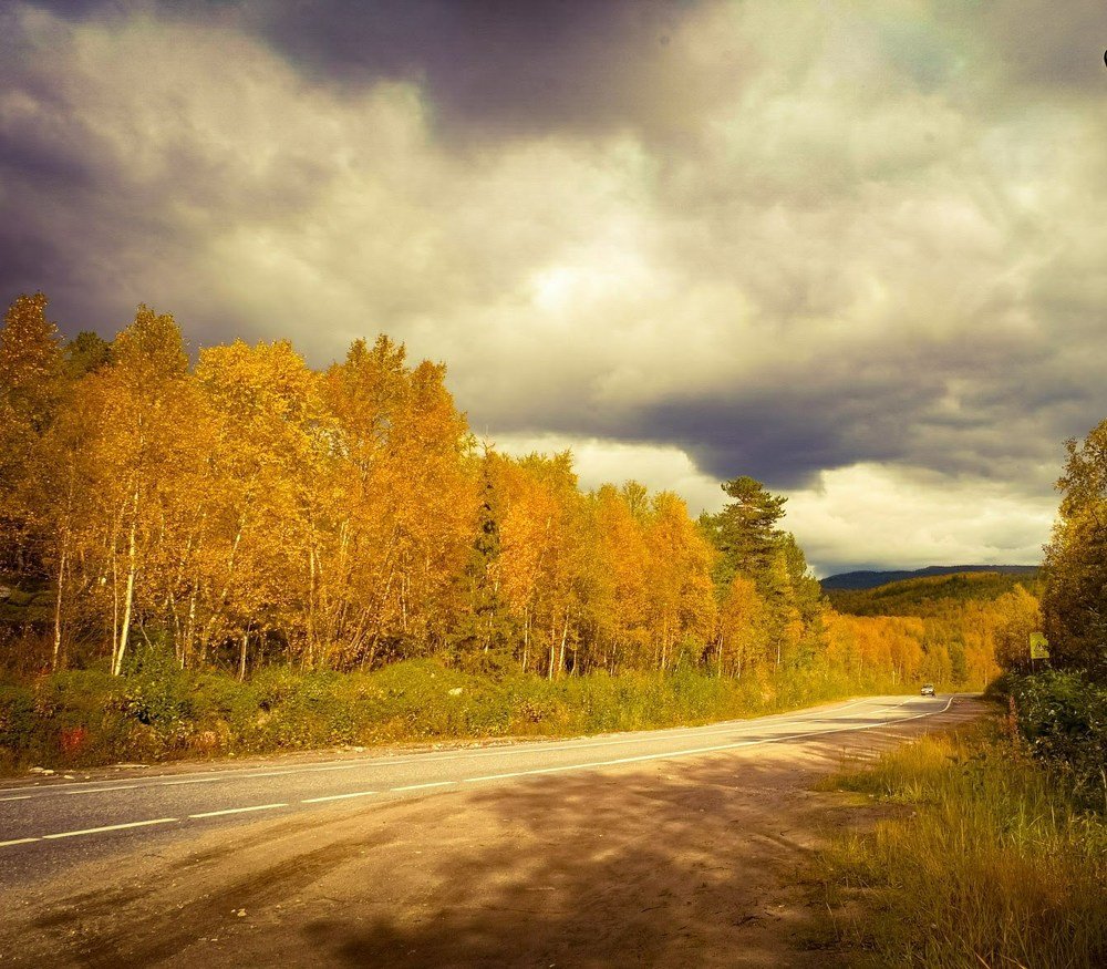 Осень в Заполярье.