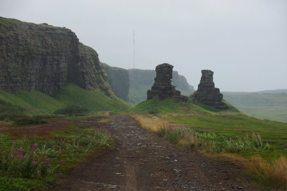 Два брата в тумане