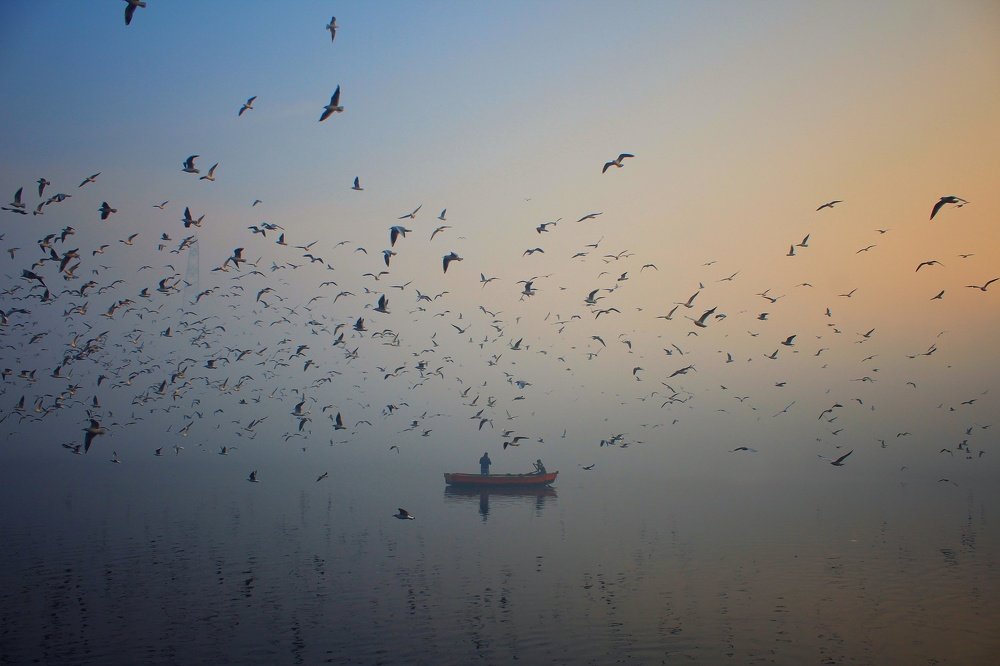 Photograph by Nishant Upadhyay