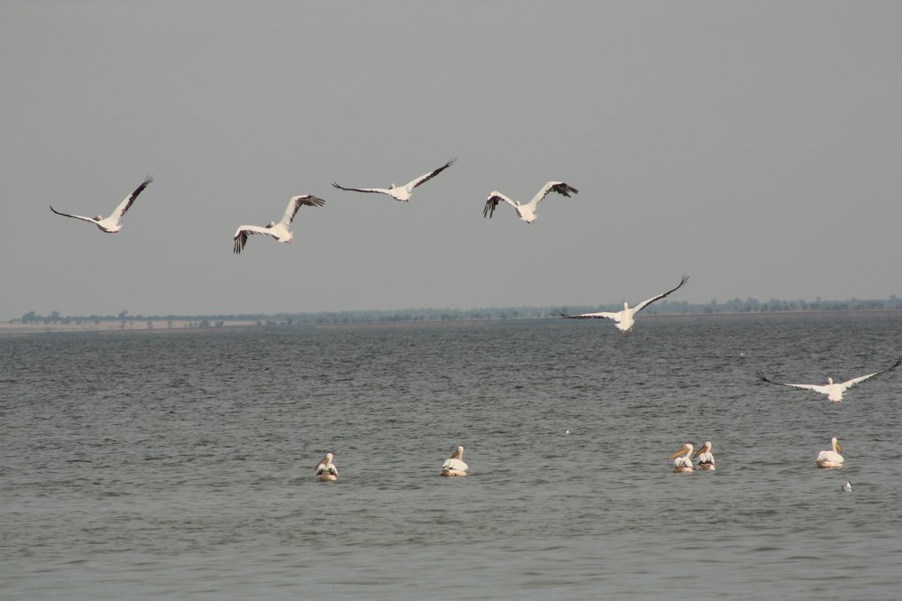 Photograph by Поддубняк Наталья