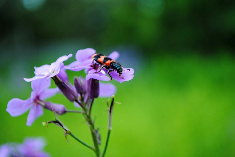 Photograph by Полина Халаим