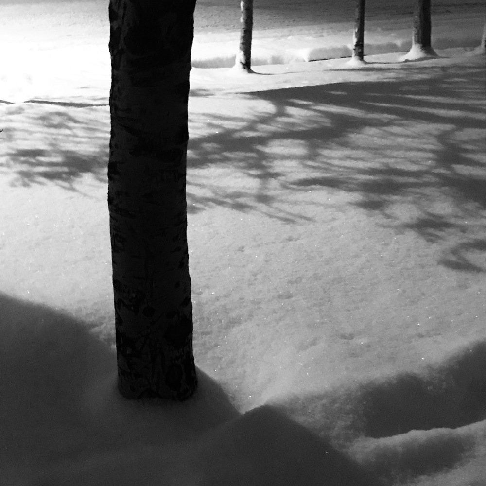 Photograph by sajjad dadpour