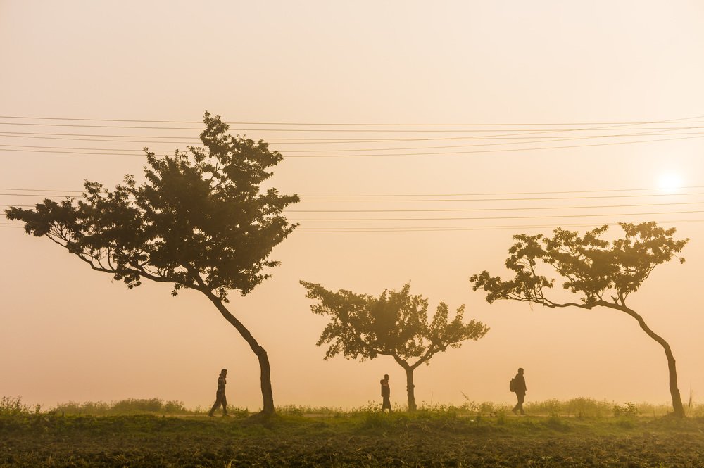 Фотография автора Tanay sarker