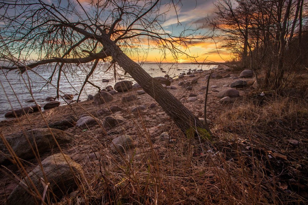 Photograph by Александр Кузнецов