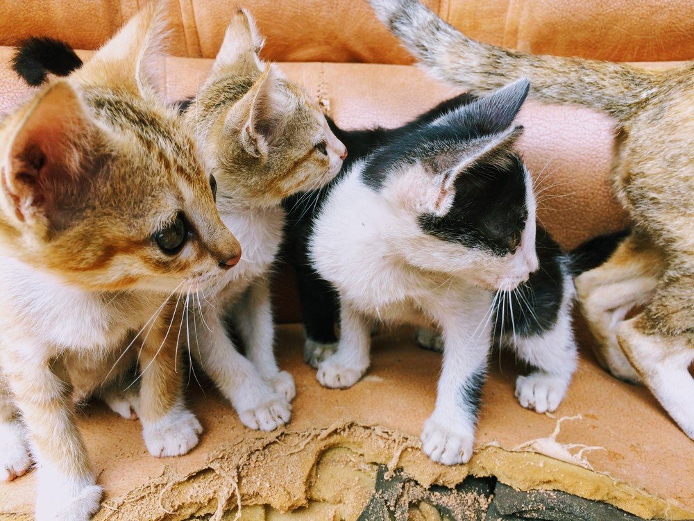 Photograph by Xe Chien Ya