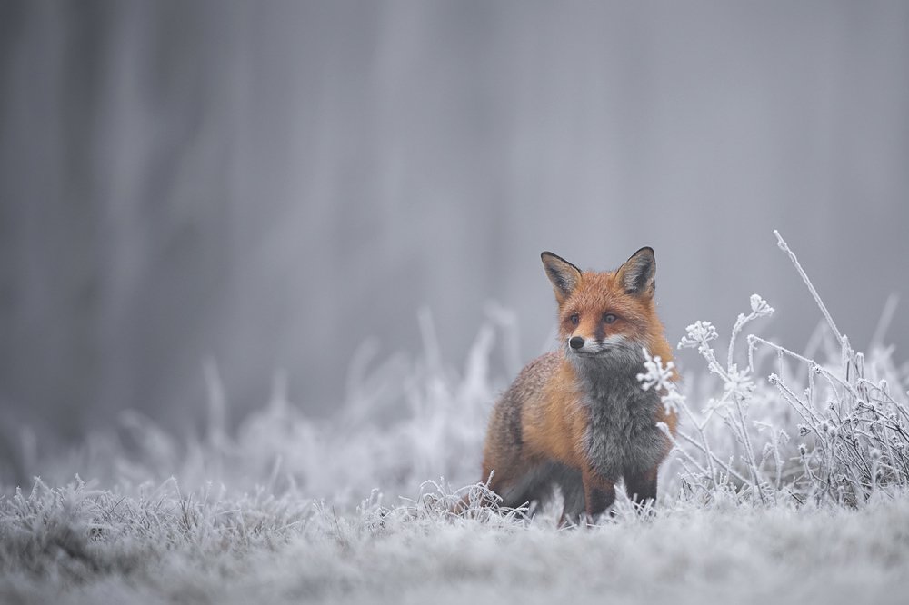 Photograph by Damian Kwasek