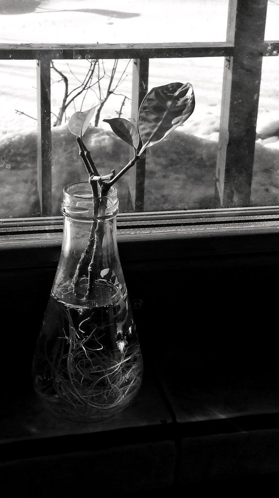 Скоро весна...