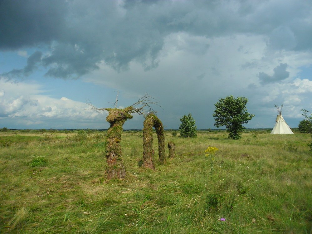 Photograph by Наталья Костюкова