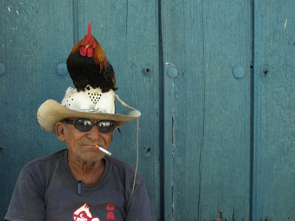 Photo #4362192