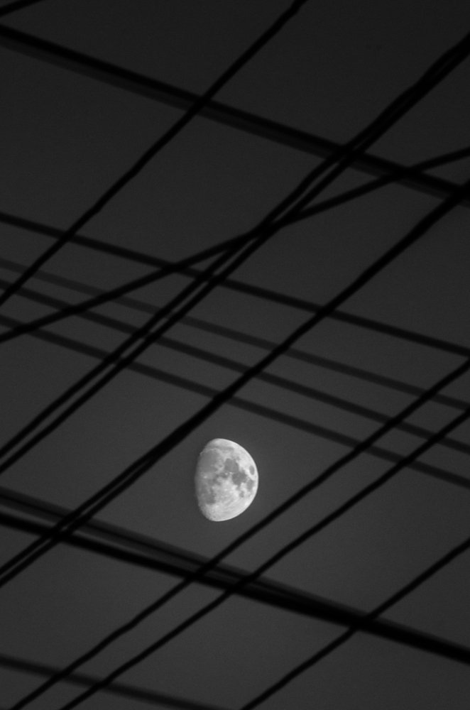 Photograph by Анатолий Мироненко