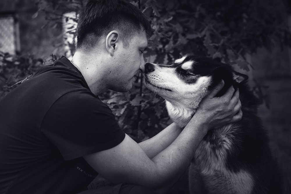 Photograph by Кирилл Богомазов