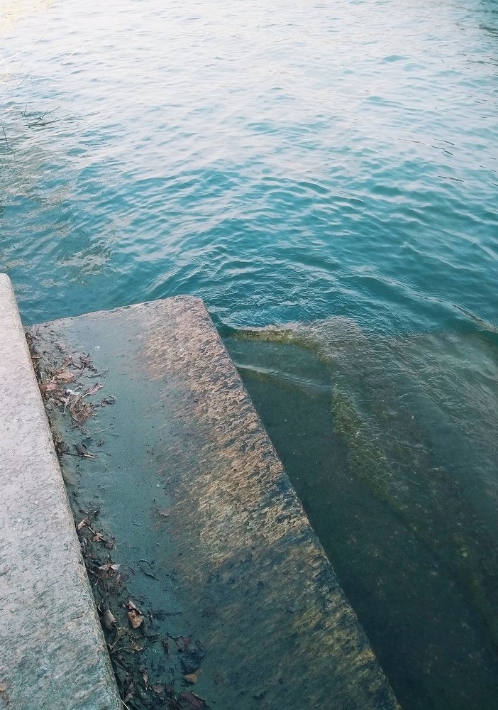 Photograph by Chiara Benedetta Condorelli