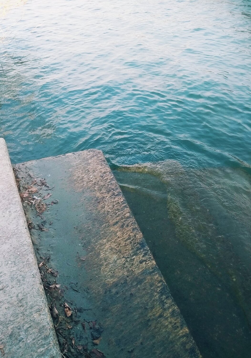 Photo #4362250