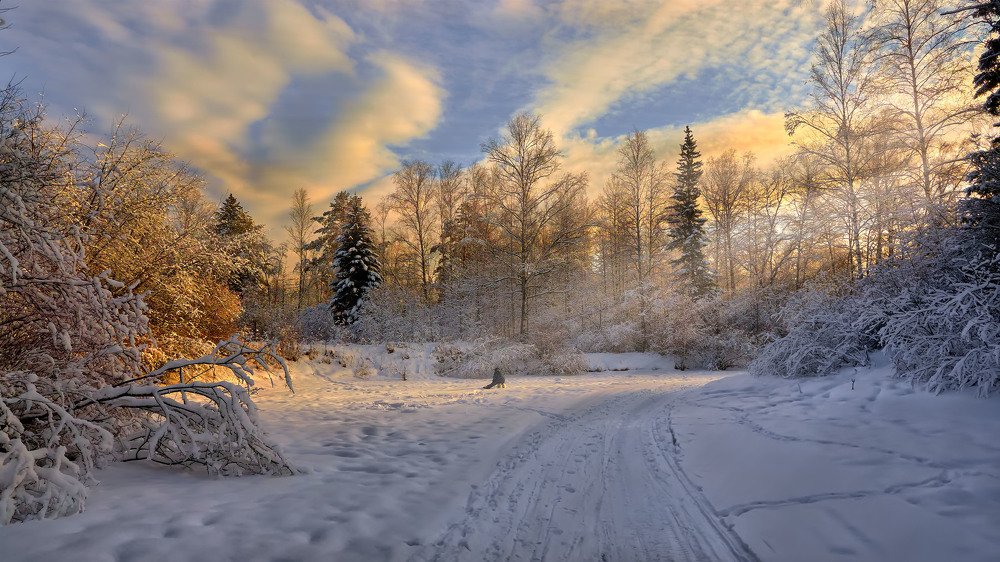 Photograph by Виктор