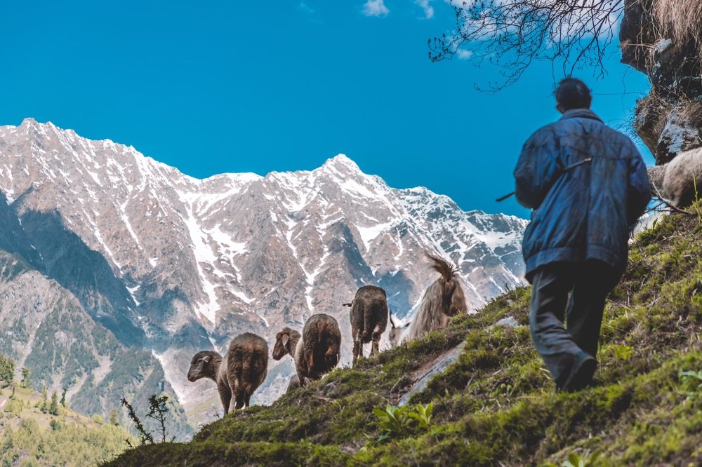 Photograph by Shourya Dadhich