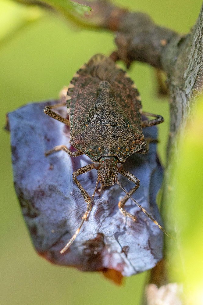 Photograph by Айша Кистаубаева