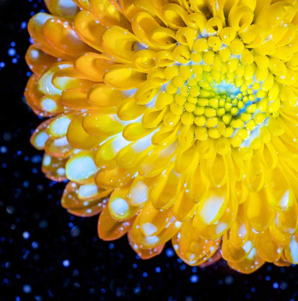 Photograph by Ursulescu Naomi-Laura