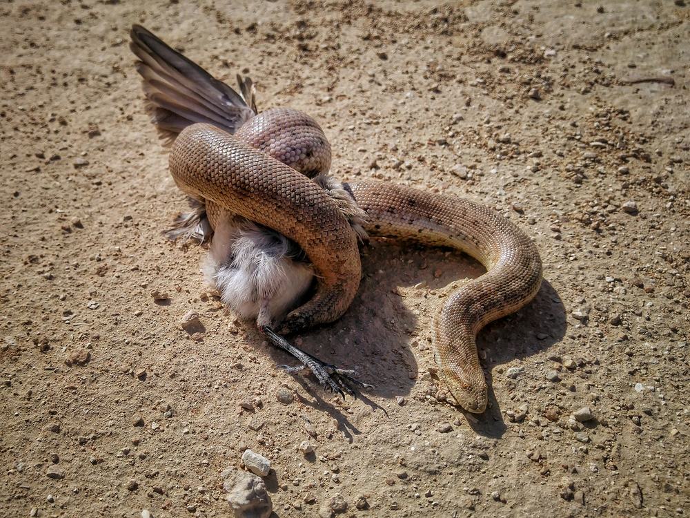 Photograph by Самат Нурекешов