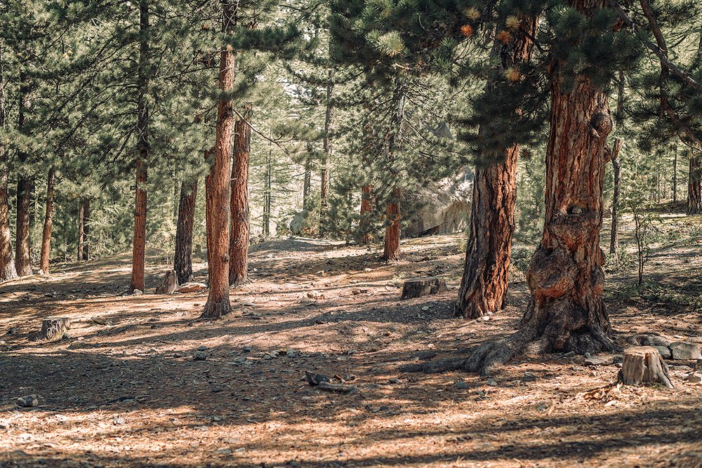 Фотография автора Степин Геннадий