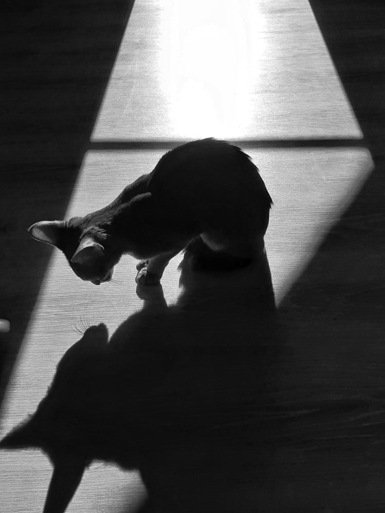 Photograph by Денис Козлов