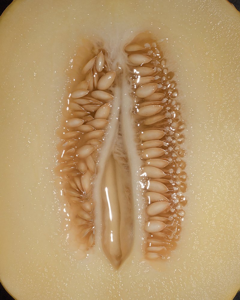 Photograph by Romanova Vasilisa