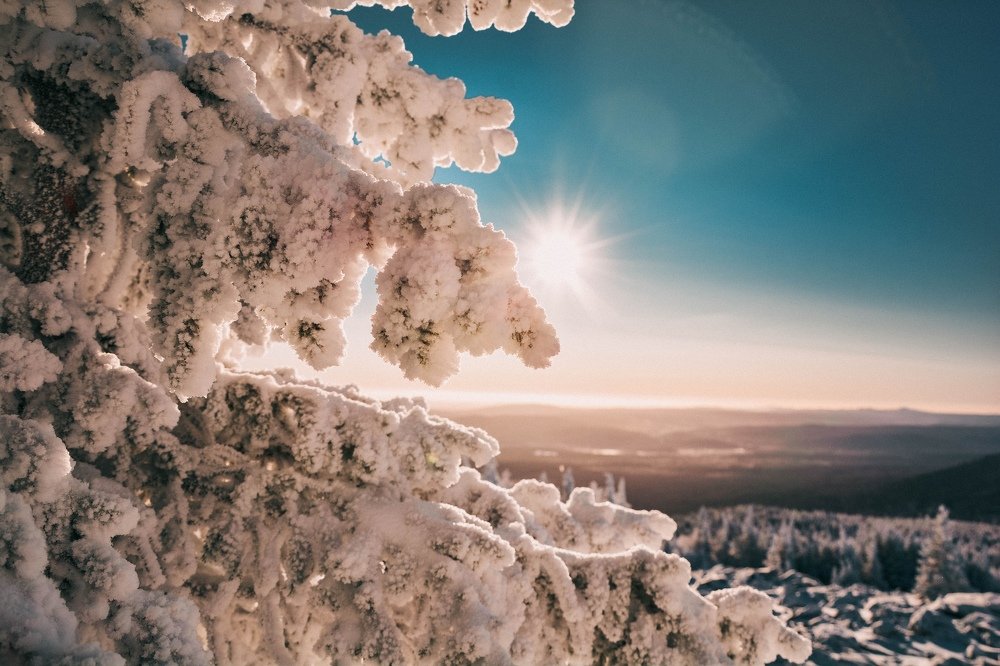 Photograph by Анастасия Фокина