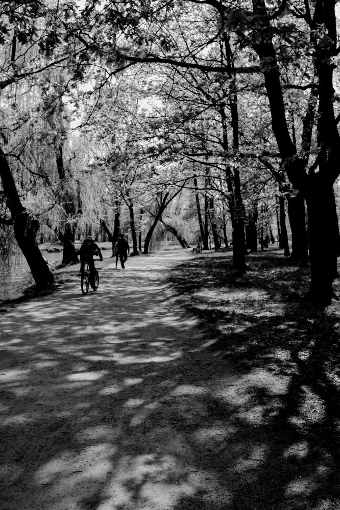 Photograph by Pierre Dumas