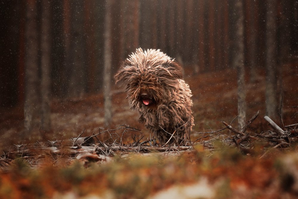 Photograph by Наталия Поникарова