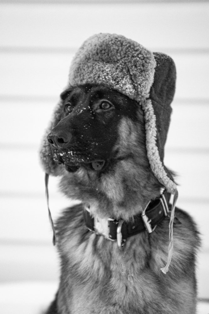 Photograph by Светлана