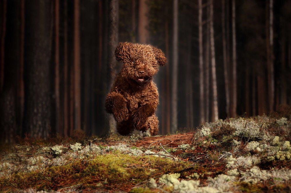 Иду на взлет!