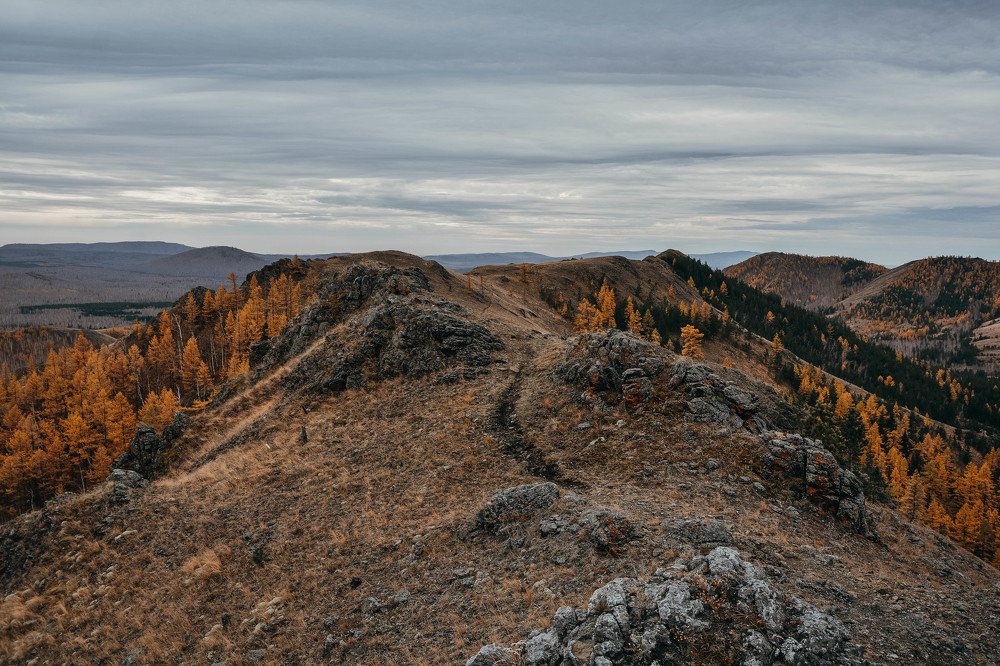 Photograph by Анастасия Фокина