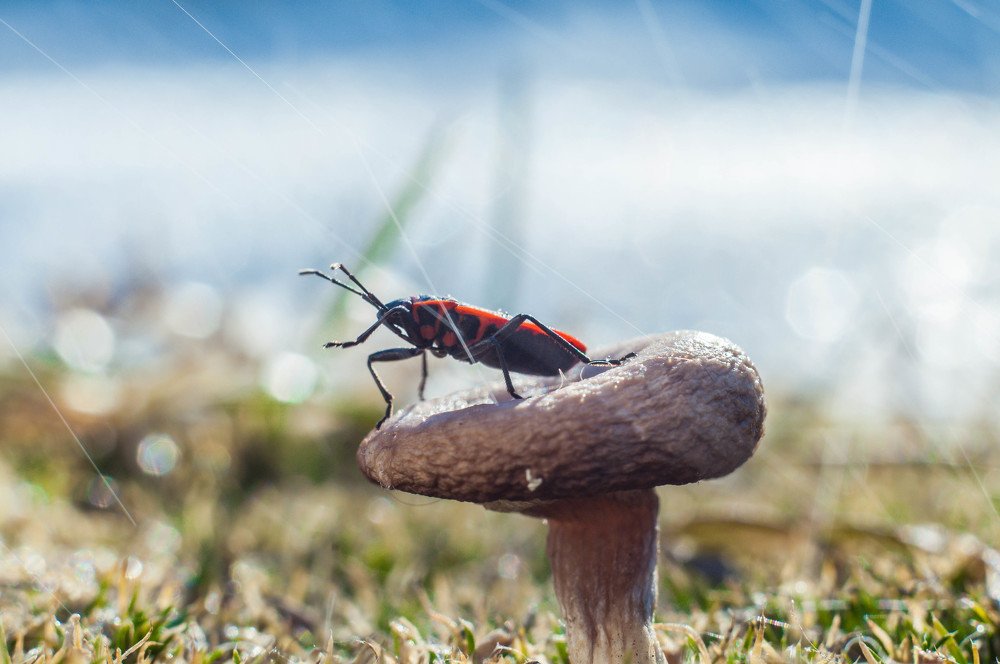 Photograph by Динара Зуйкова