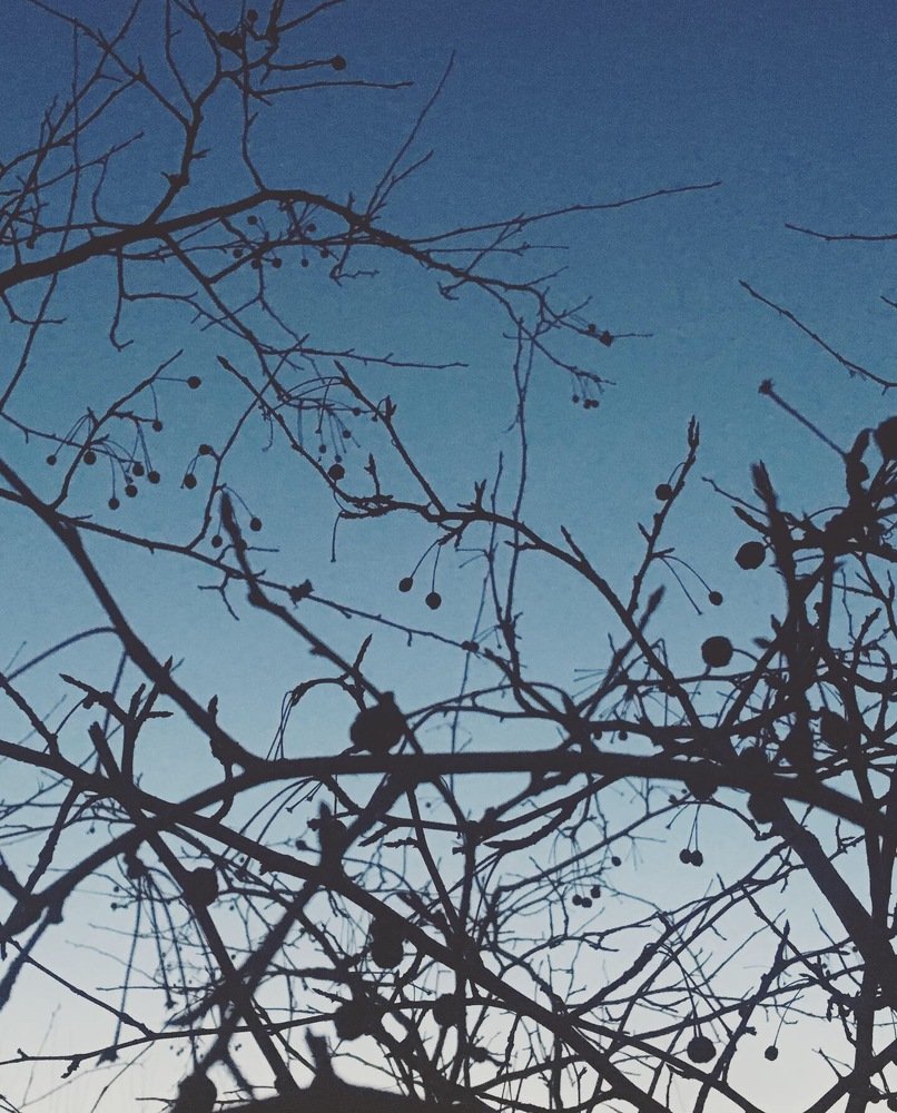 Photograph by Дмитрий Косенков