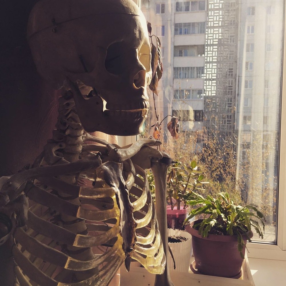 Photograph by Дмитрий Косенков