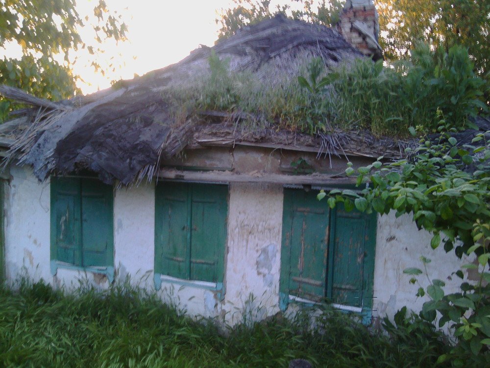 Photograph by Александр