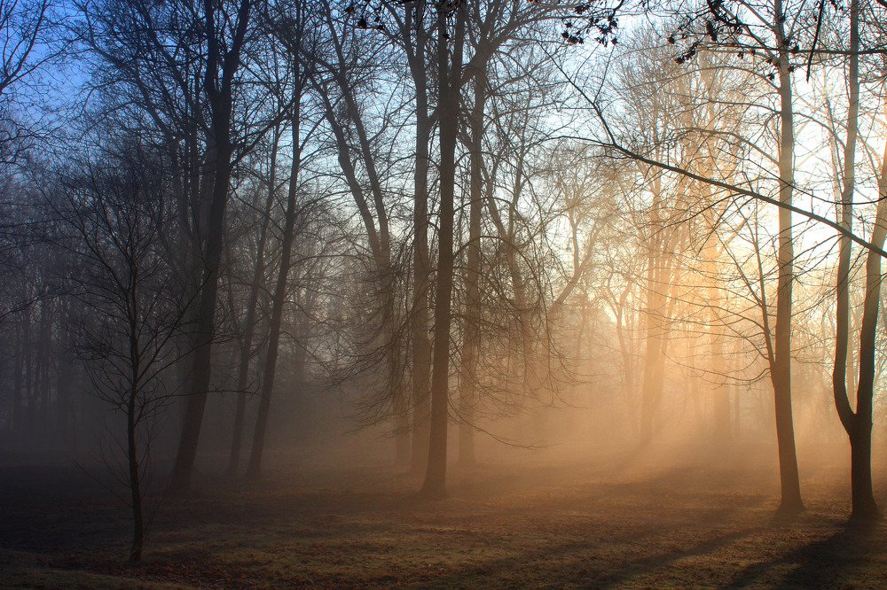Photograph by 