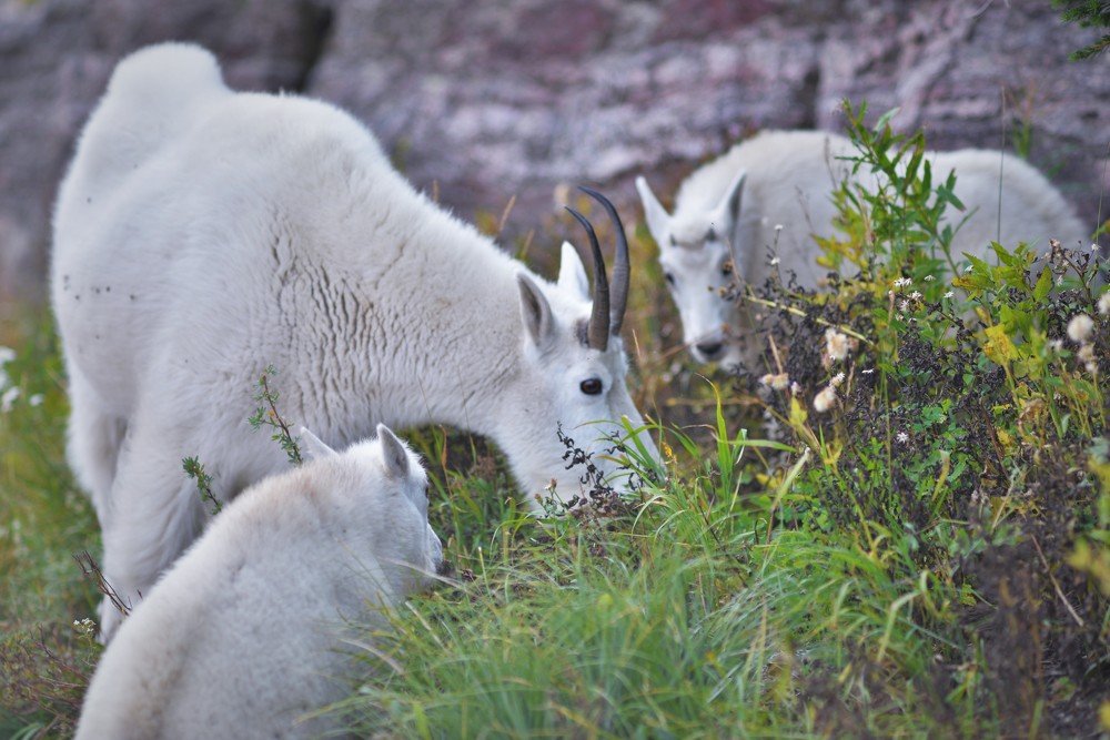 Photograph by Ольга Садохова