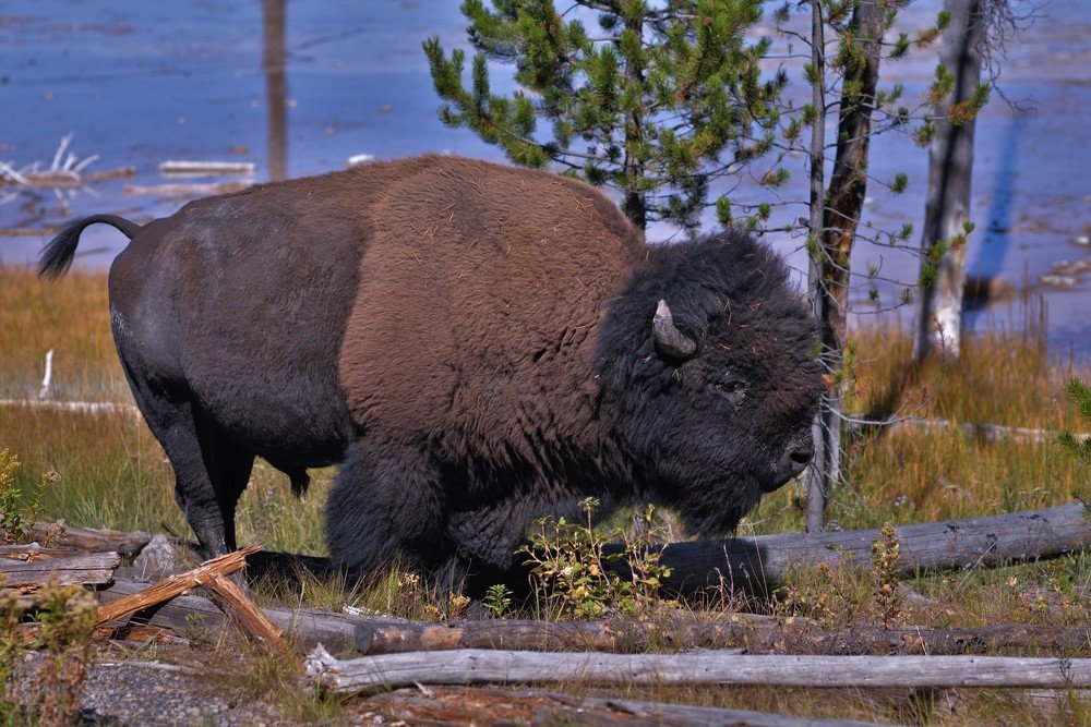Photograph by Ольга Садохова