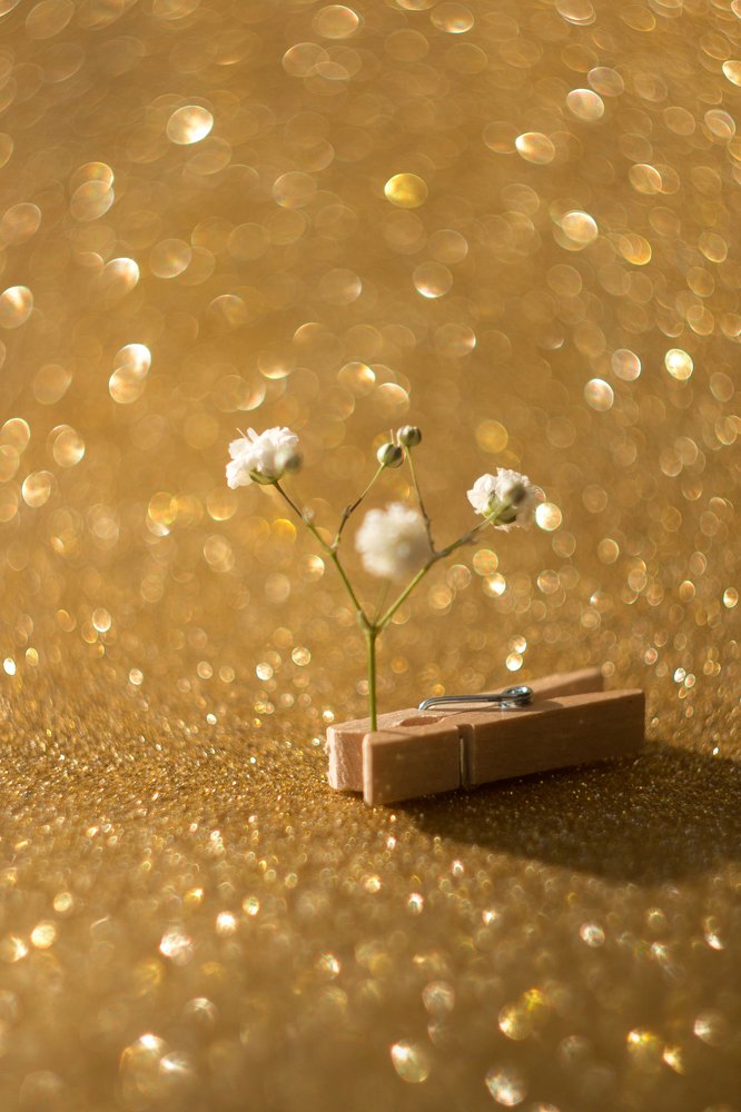 Весна в прищепке