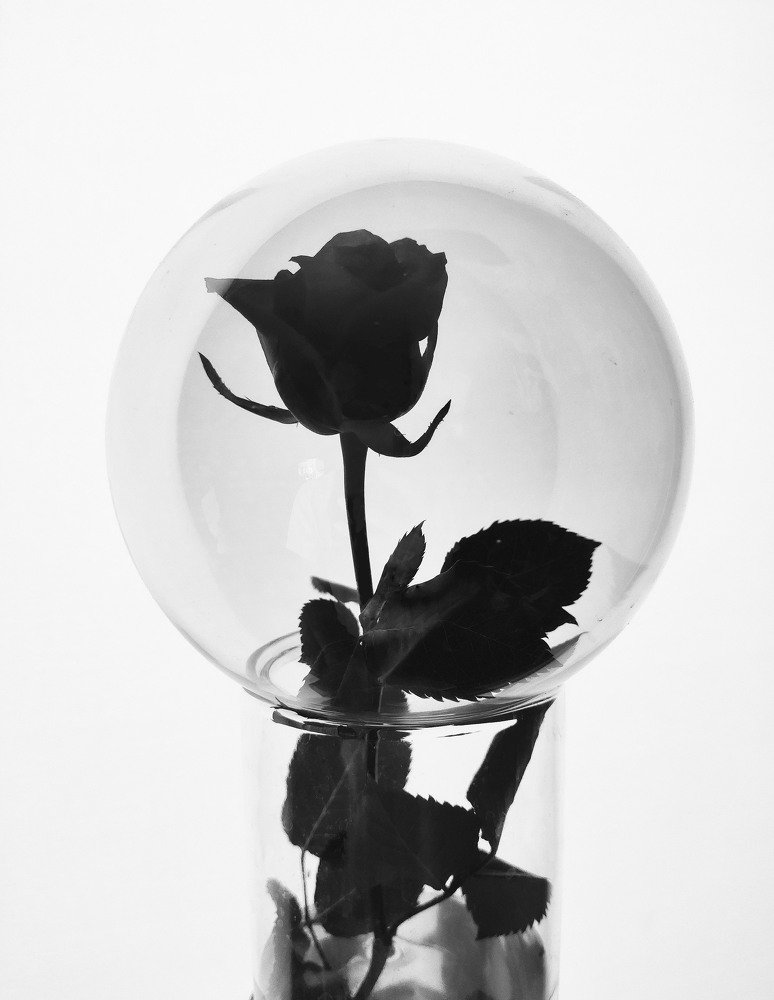 Photograph by Наталия Сидорова