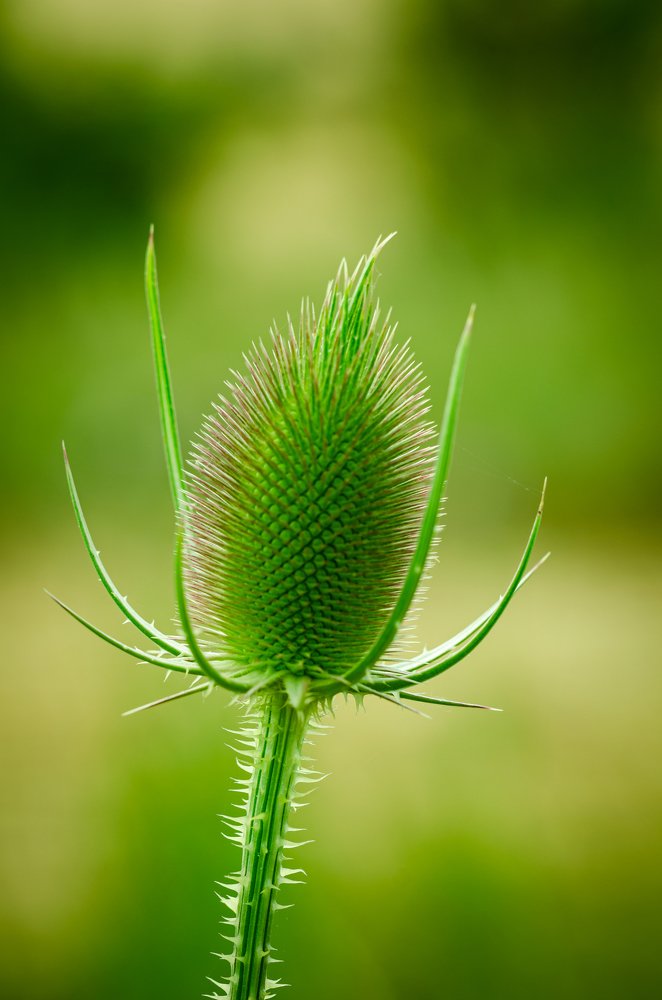 Photograph by Oleg Yashin