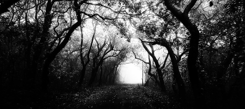 Photograph by Abhijeet Kulkarni