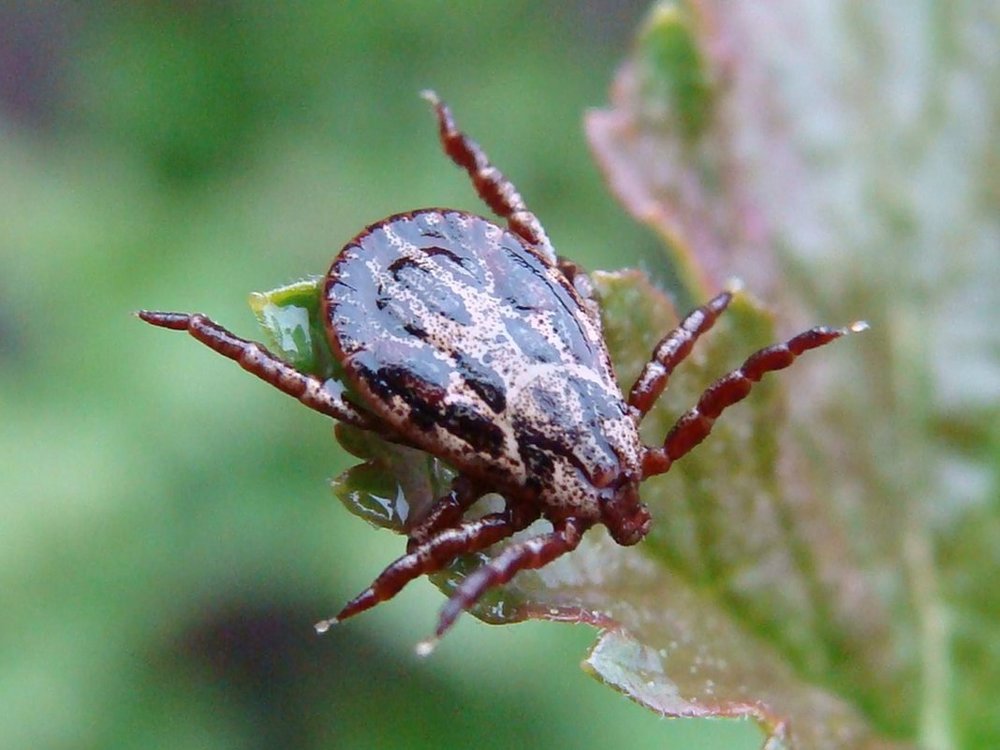 Фотография автора Павел Попов